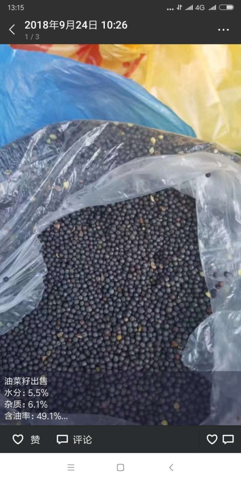 进口高品质油菜籽