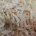 天然生哂虾皮