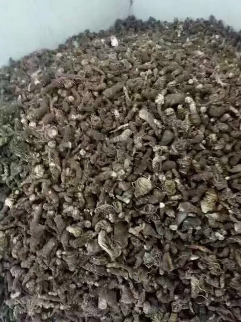 重楼选个干货