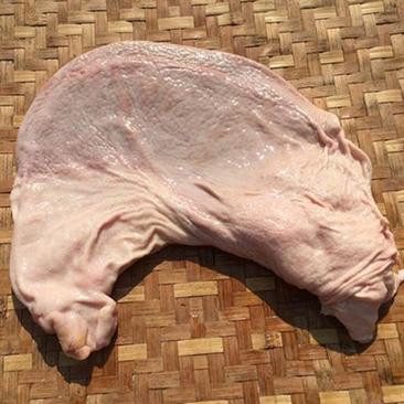 新鲜土猪猪肚1个清洗好且焯水洗前约2斤洗后约1斤包