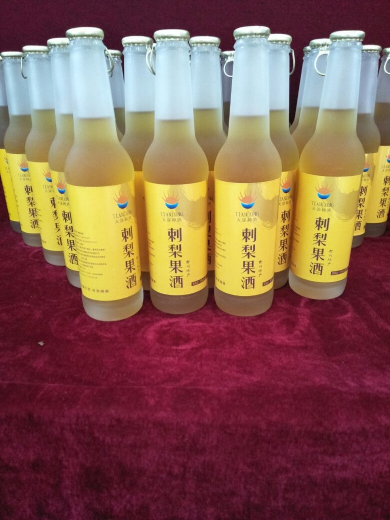 刺梨苗