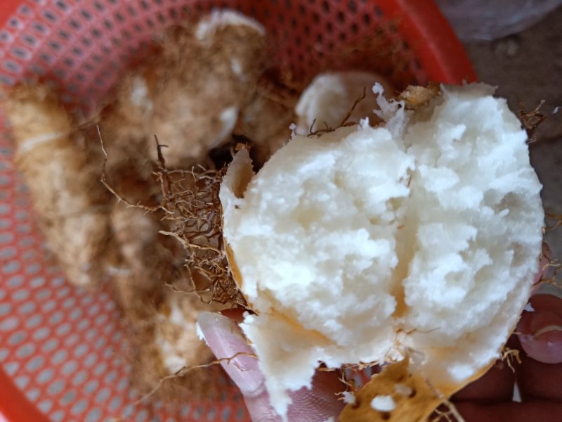 红泥毛薯，包粉，又靓，又香