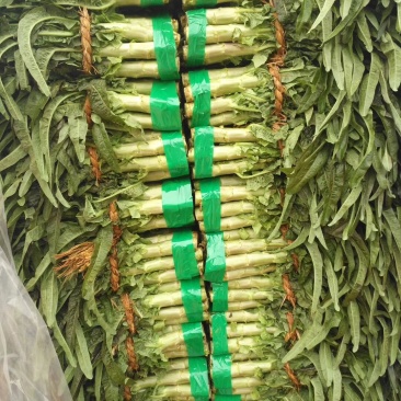 山东省郯城县红花红叶莴苣白菜甘蓝大量上市啦