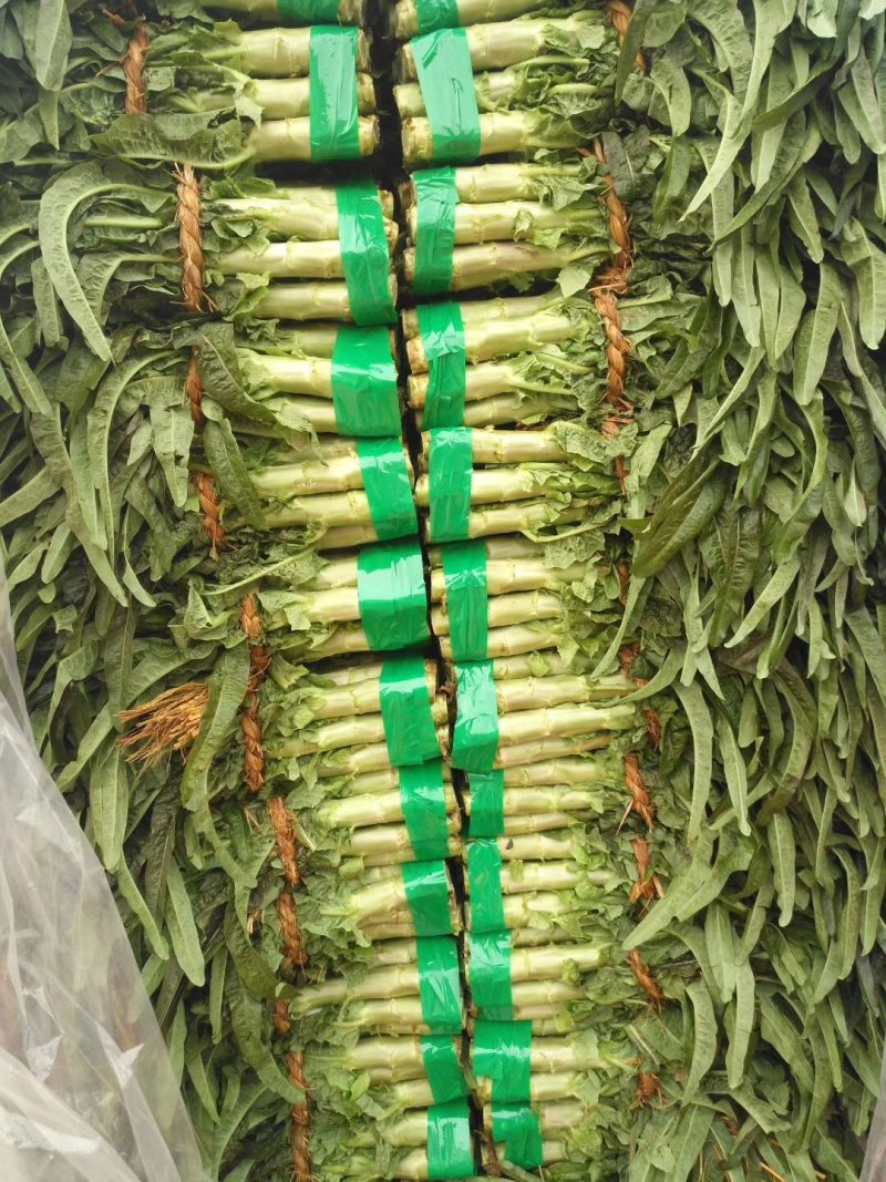 山东省郯城县红花红叶莴苣白菜甘蓝大量上市啦