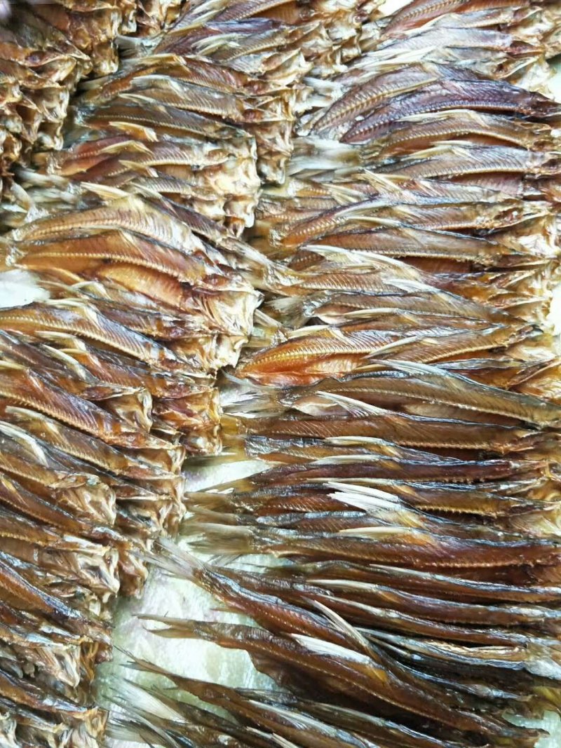 翹魚
