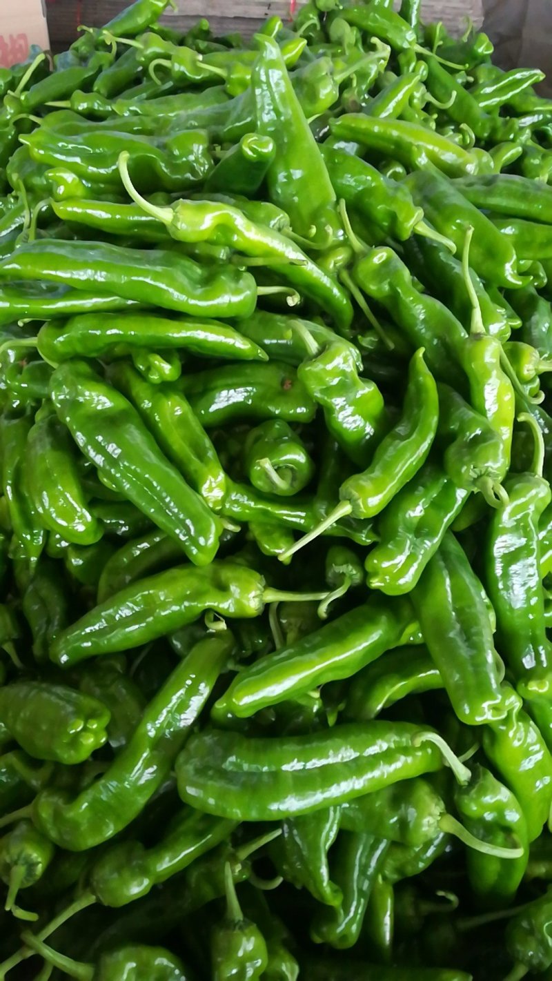 青叶，白叶莴笋，各种青椒大量上市