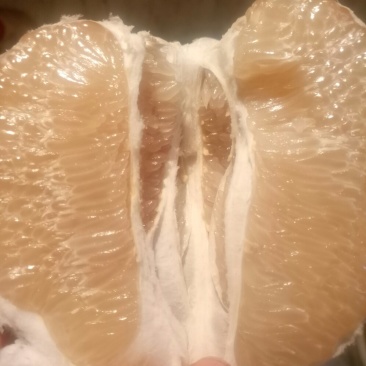 白心柚皮薄水多味道好