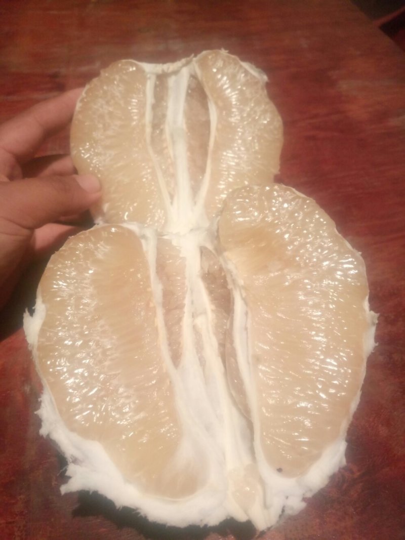 白心柚皮薄水多味道好