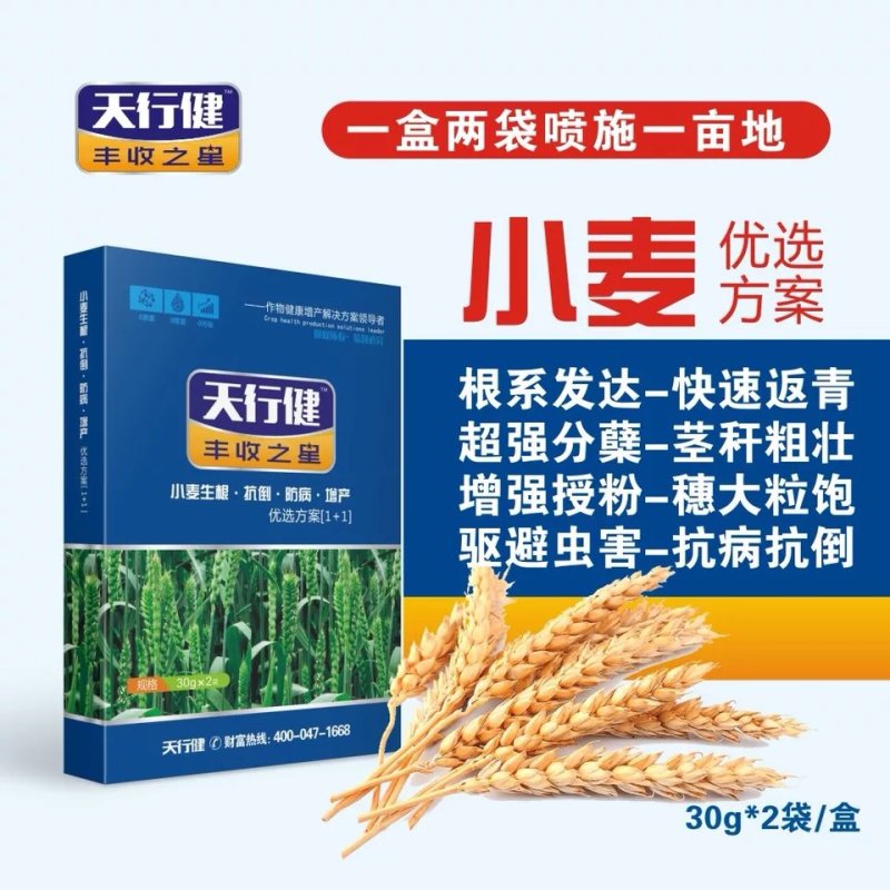 天行健丰收之星小麦叶面肥调节剂抗倒杀菌剂增产专用套餐