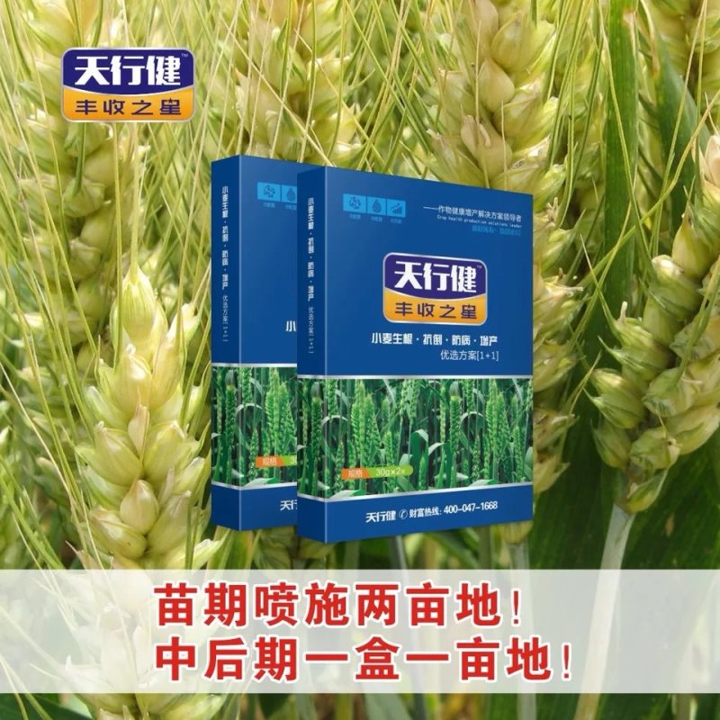 天行健丰收之星小麦叶面肥调节剂抗倒杀菌剂增产专用套餐