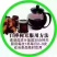 俄罗斯黑金桦树茸