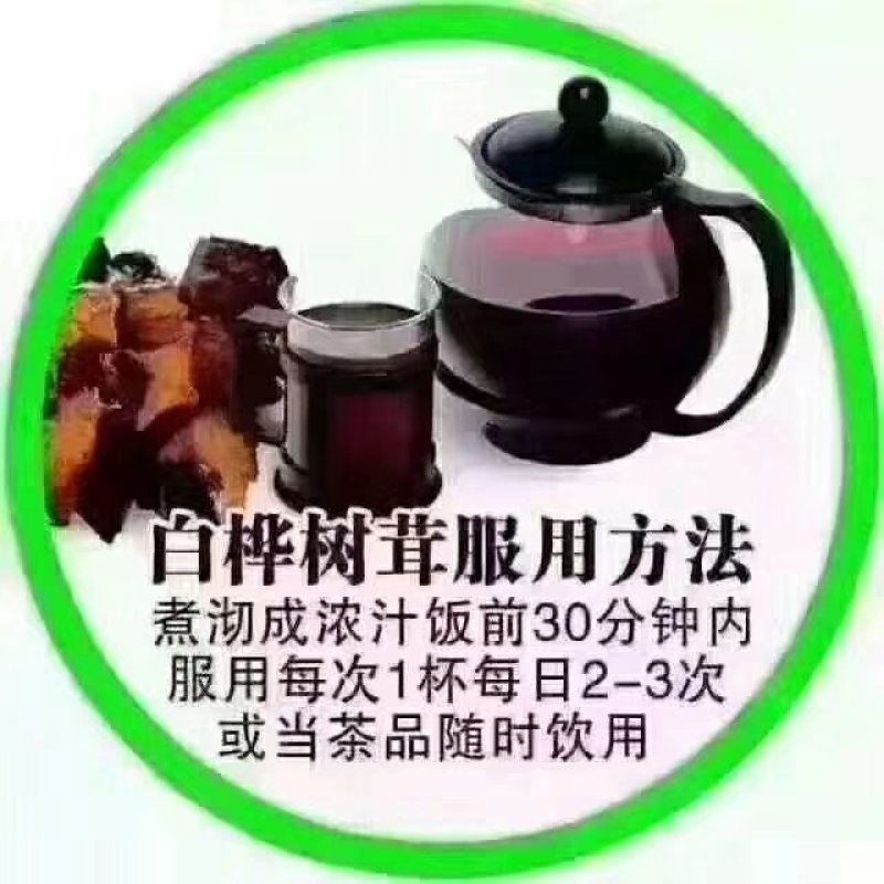 俄罗斯黑金桦树茸