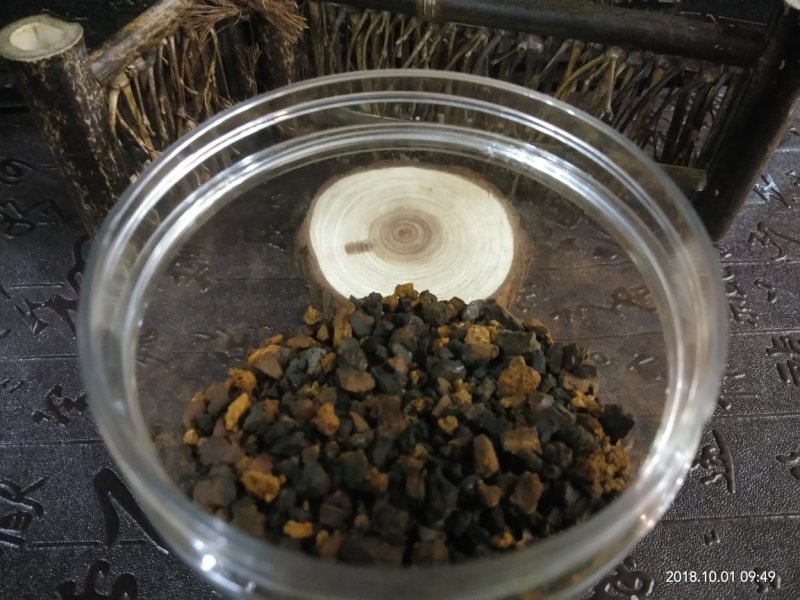 俄罗斯黑金桦树茸