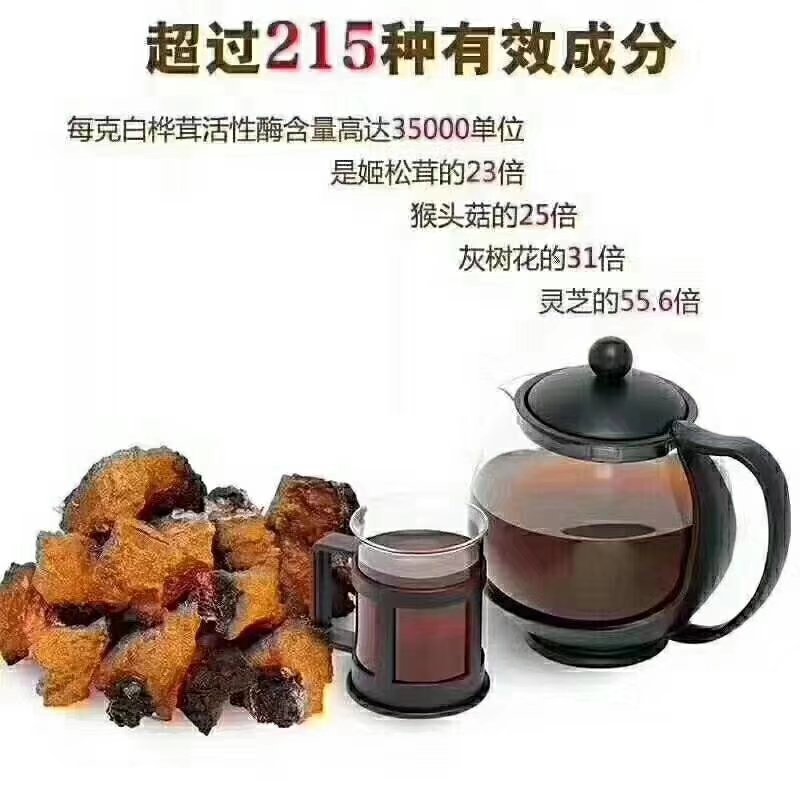 俄罗斯黑金桦树茸