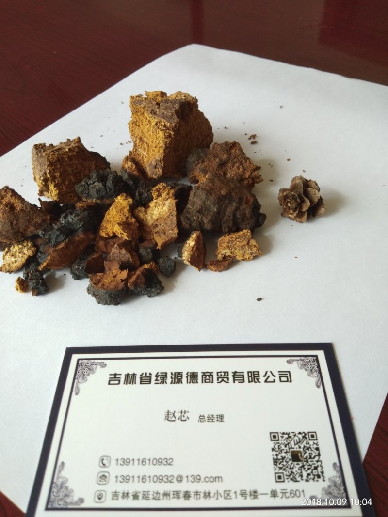 俄罗斯黑金桦树茸