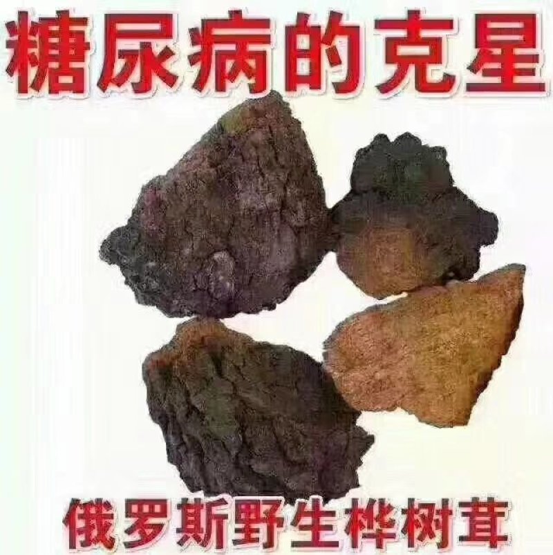俄罗斯黑金桦树茸
