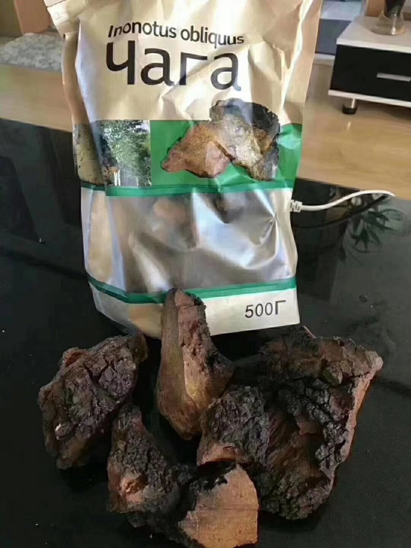 俄罗斯黑金桦树茸