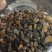 俄罗斯黑金桦树茸