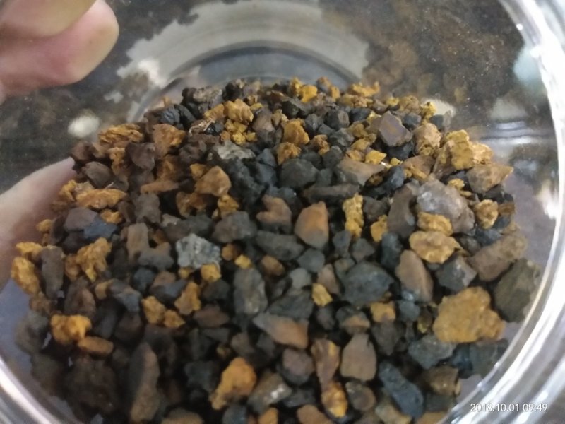 俄罗斯黑金桦树茸