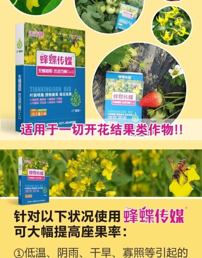 蜂蝶传媒番茄草莓冬枣猕猴桃果树葡萄辣椒水稻授粉座坐果灵叶