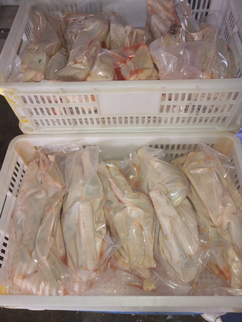 鹅，大白鹅，白条鹅，鹅副产品