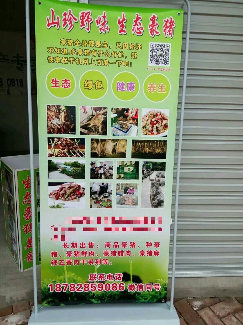 豪猪种苗！商品豪猪，豪猪腊肉等