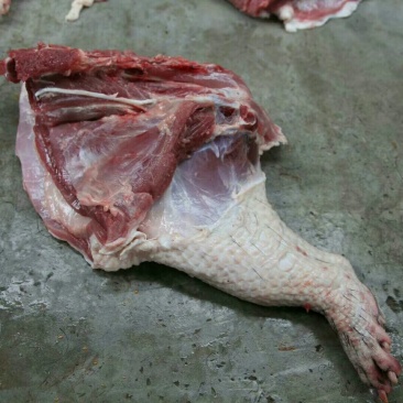 豪猪种苗！商品豪猪，豪猪腊肉等