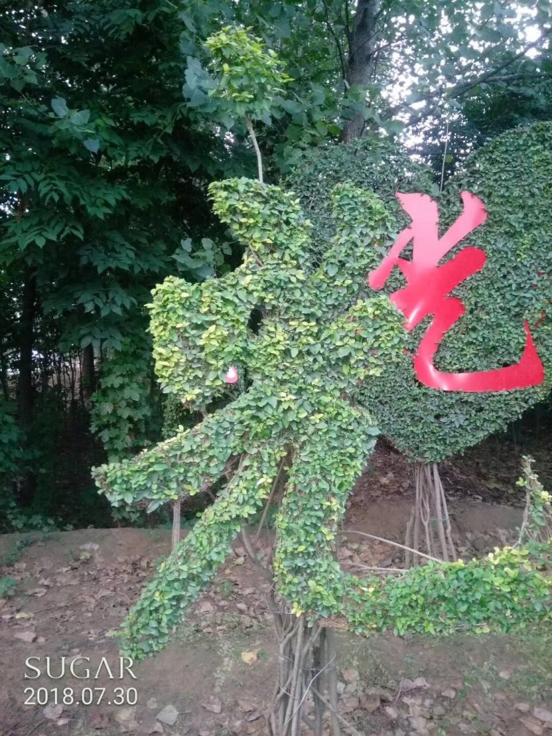 造型树
