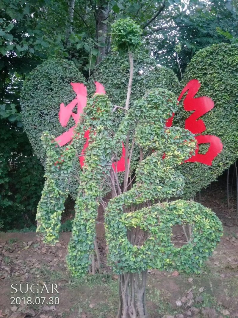 造型树