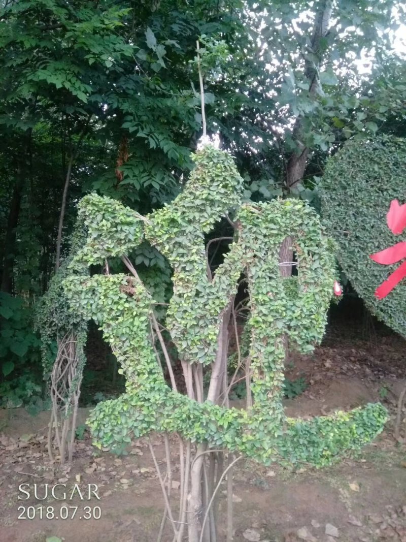 造型树