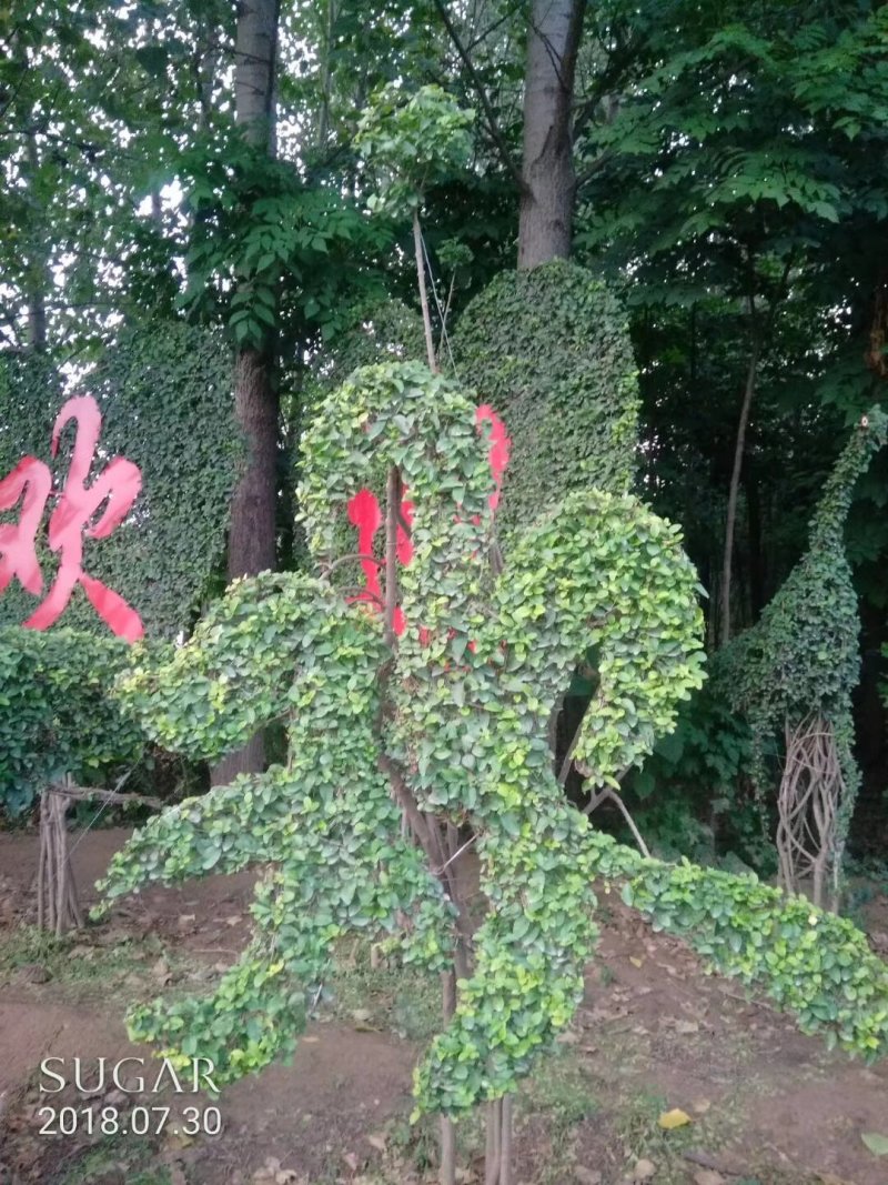 造型树