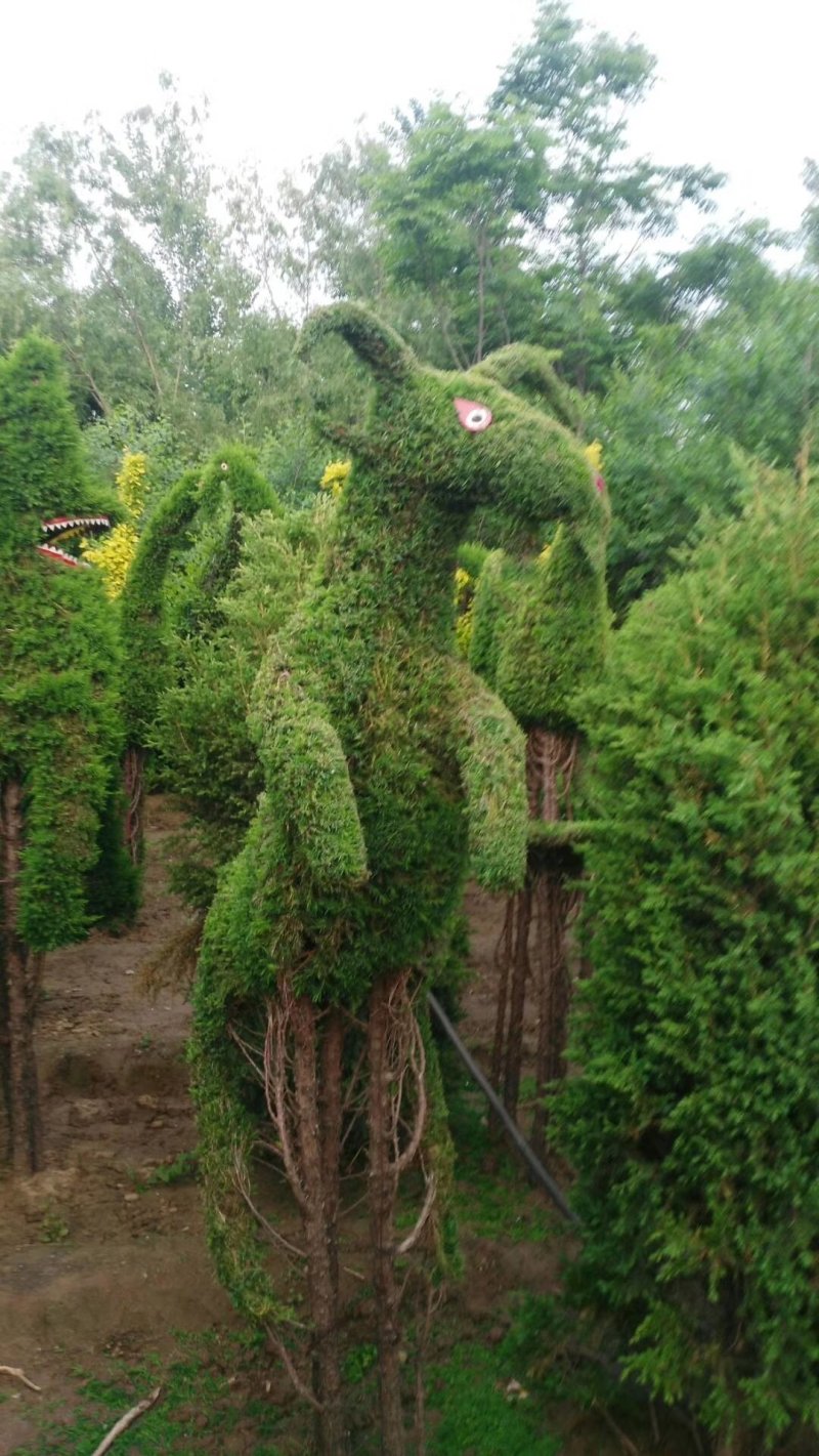 造型树