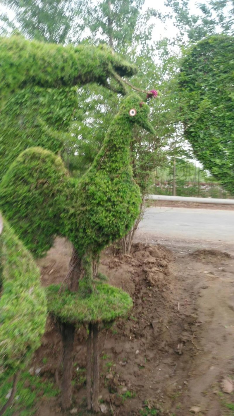 造型树