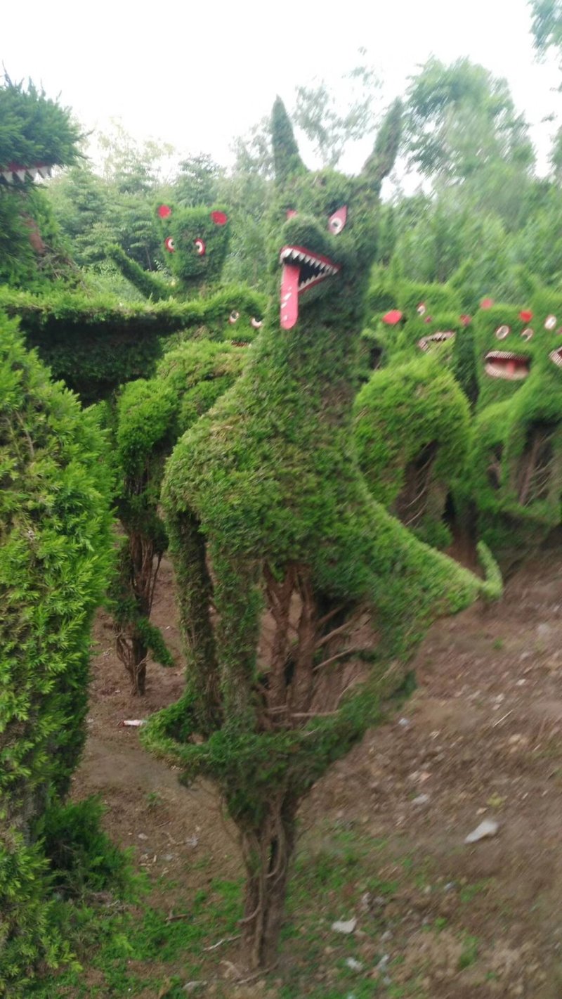 造型树