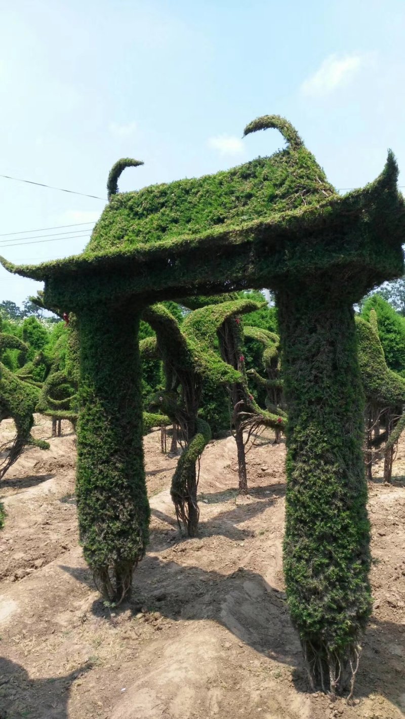 造型树