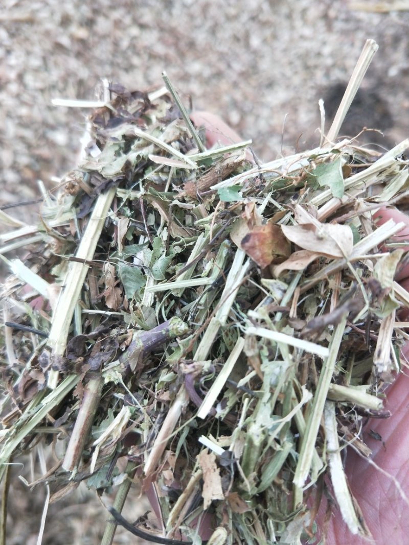 花生秧压块专业加工常年供货