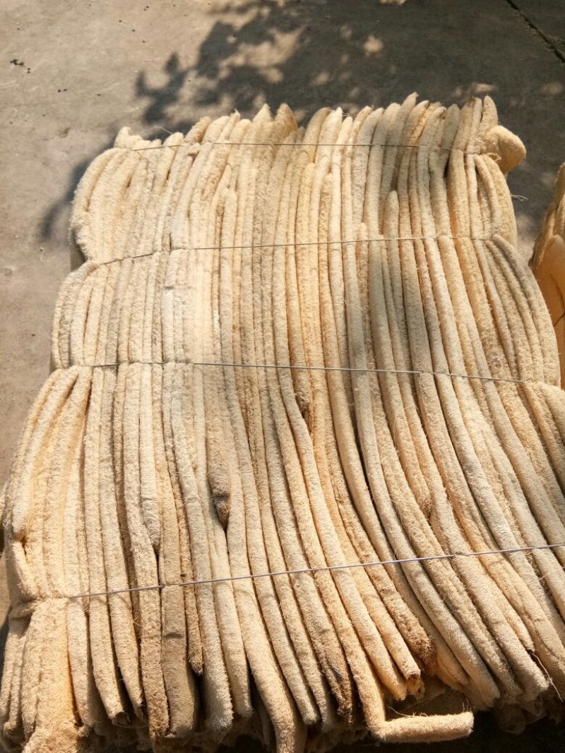 丝瓜络