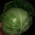 平包洋白菜奥奇娜系列
