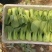 精品生菜大量上市需要联系