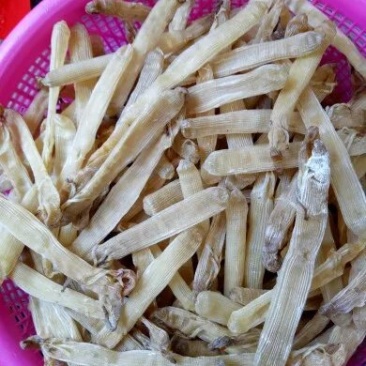 农户直供沙虫干50g包邮（巨鲸水产出品）