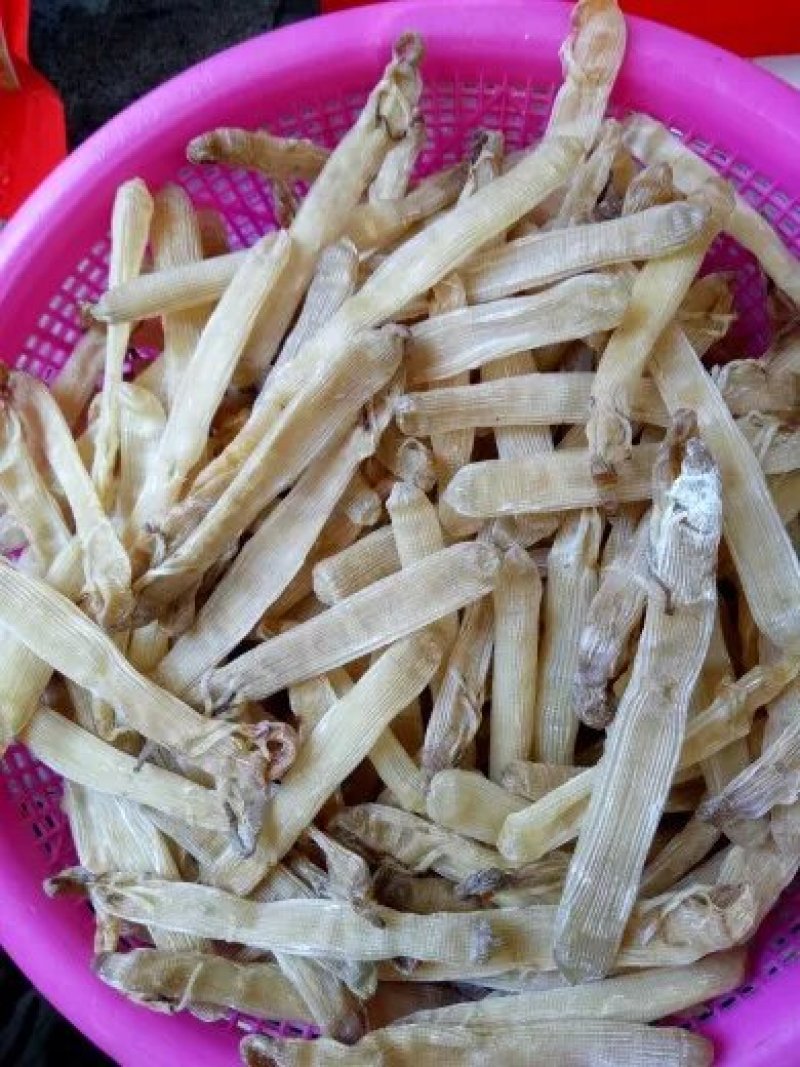 农户直供沙虫干50g包邮（巨鲸水产出品）