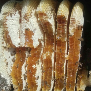 其它