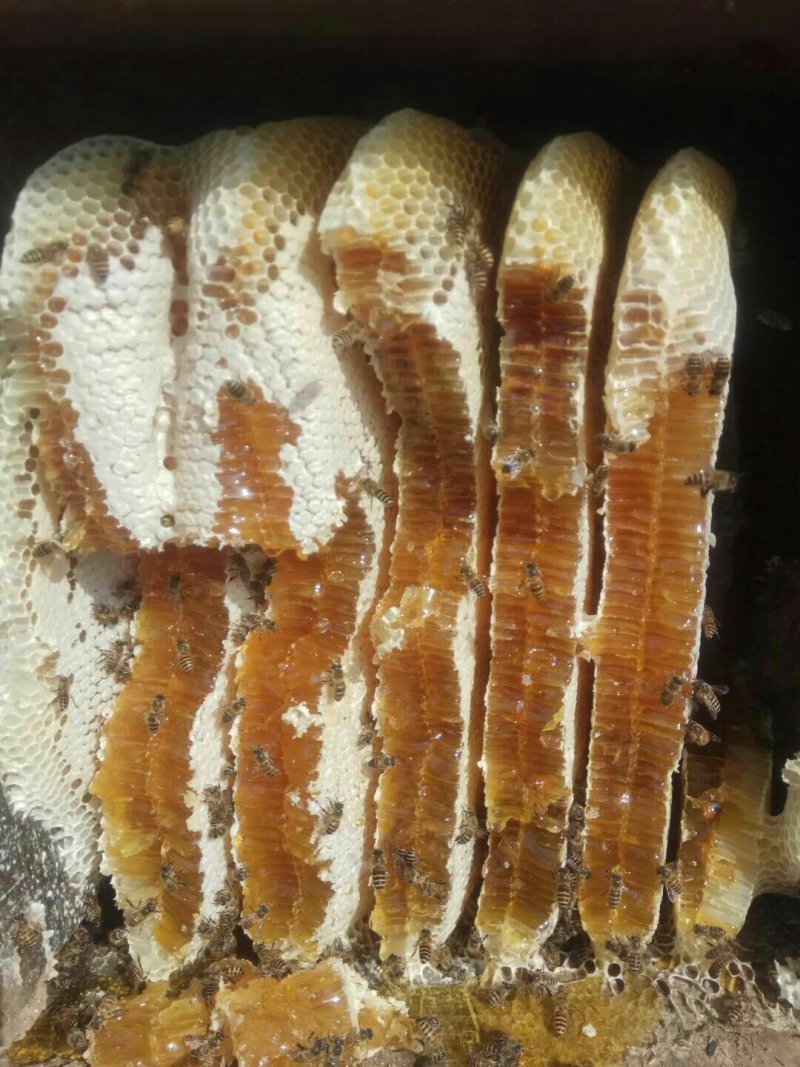 其它
