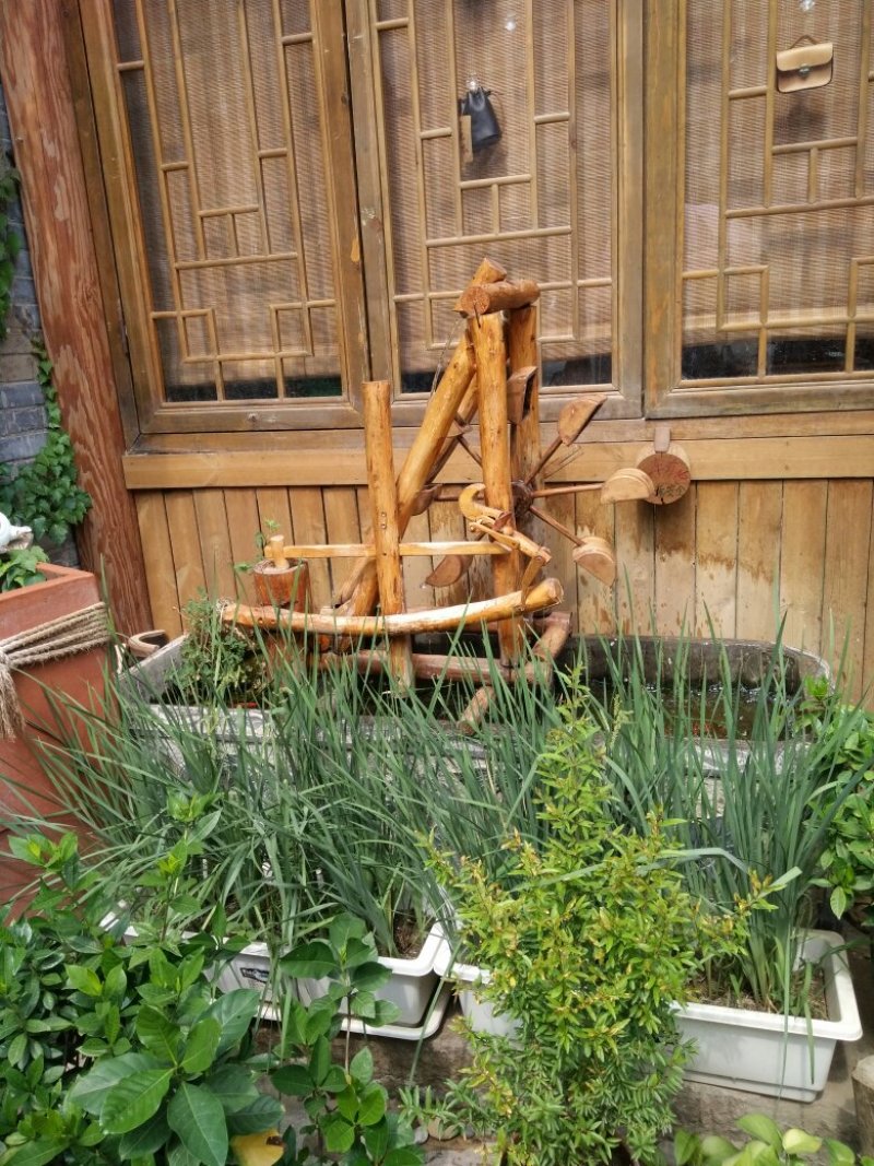大蒜精品