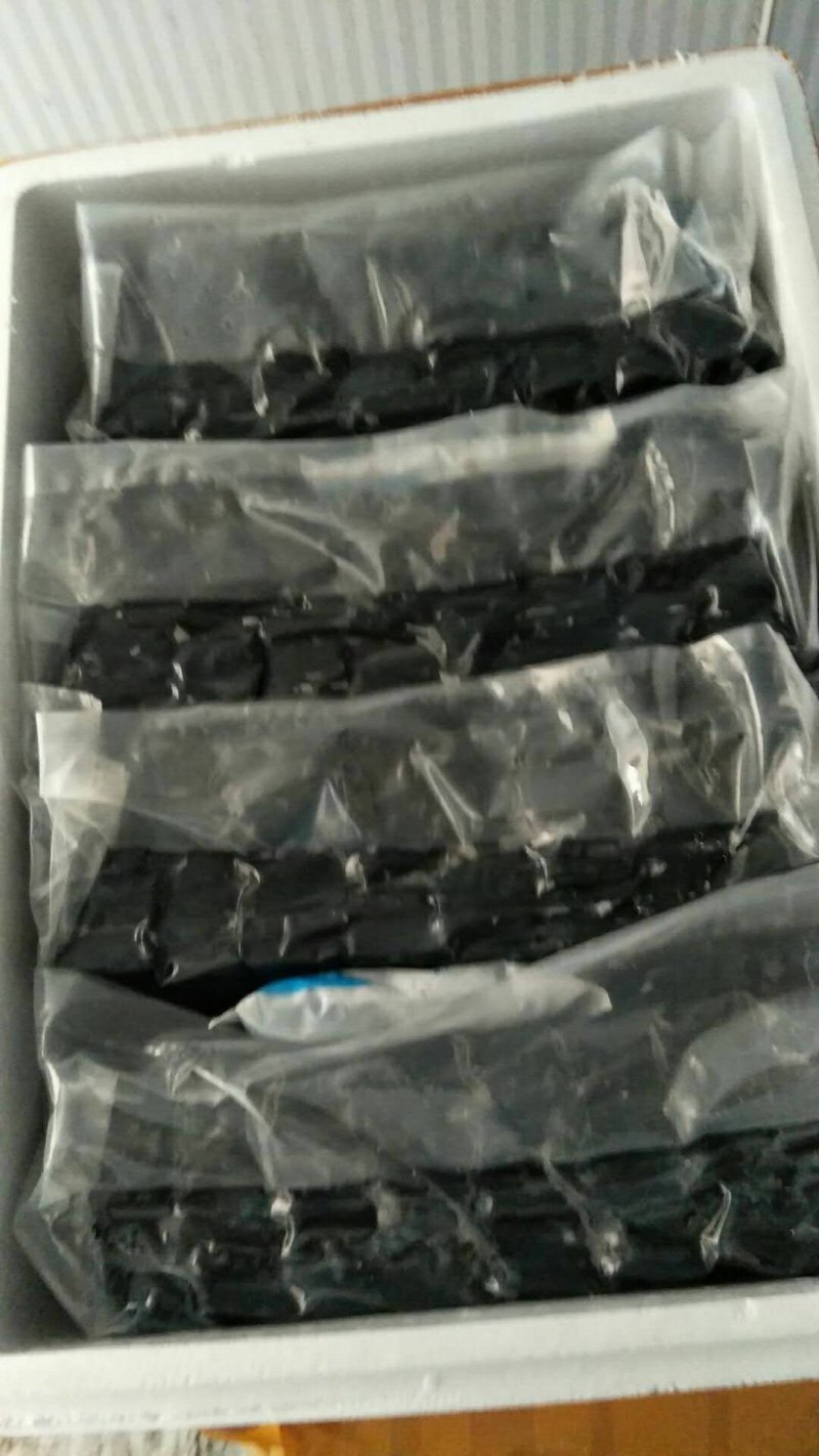 臭豆腐生胚批发2000片