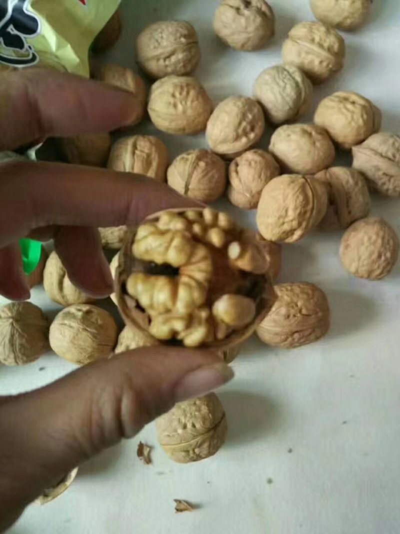 新疆薄皮核桃新货去皮干