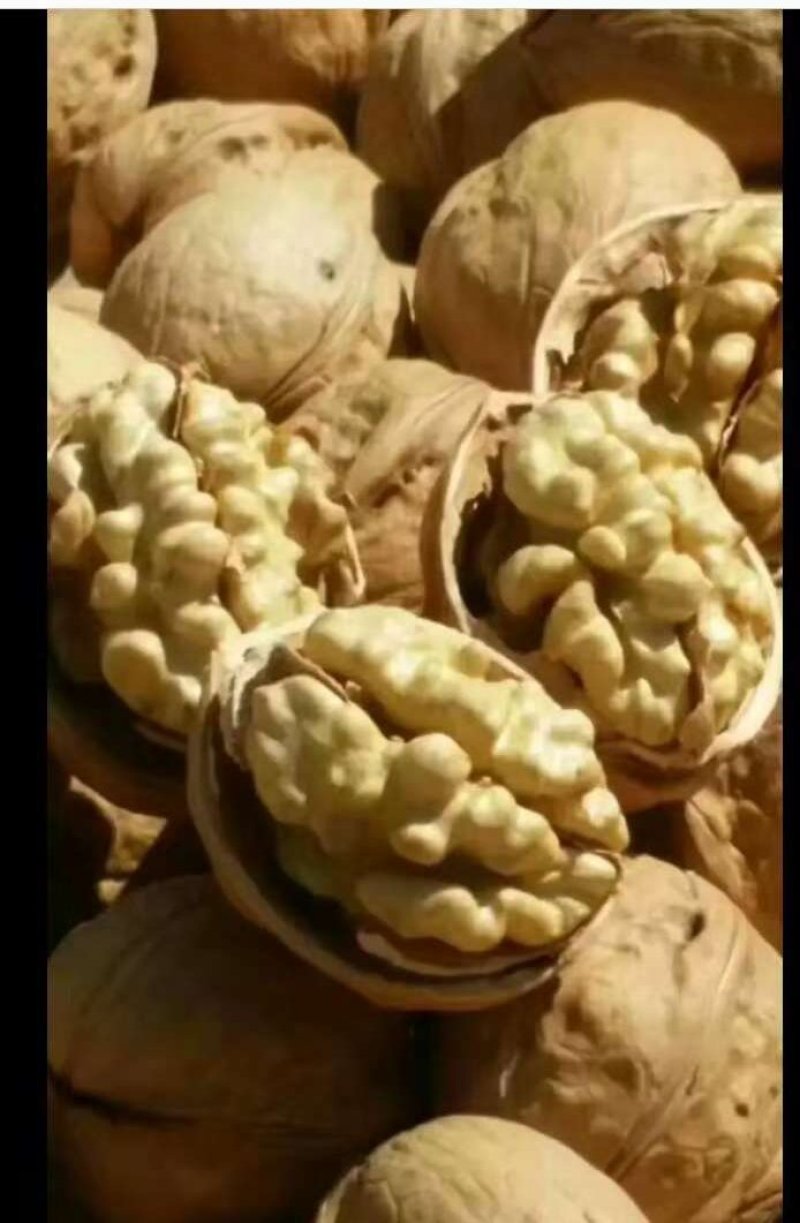新疆薄皮核桃新货去皮干
