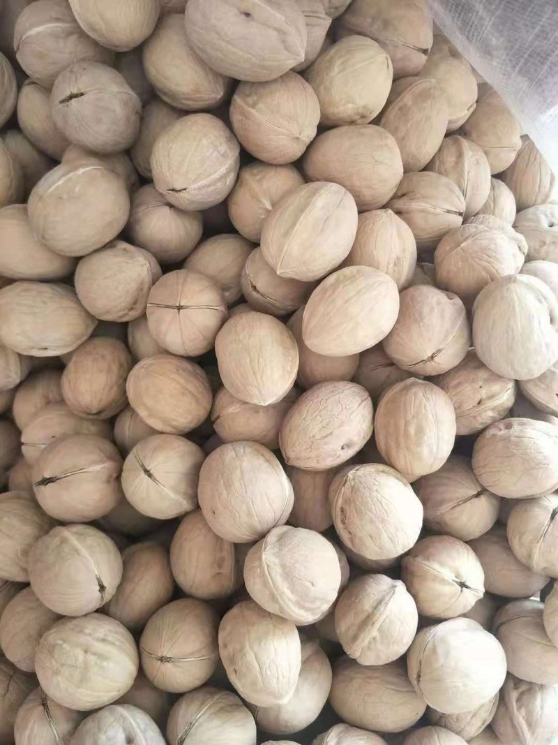 新疆薄皮核桃新货去皮干