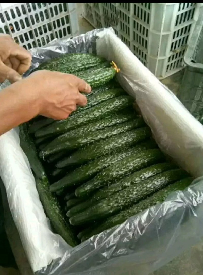 黄瓜有所掉价