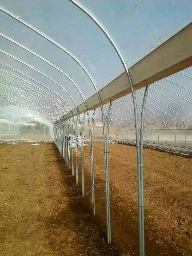 香菇大棚，食用菌大棚，椭圆管大棚